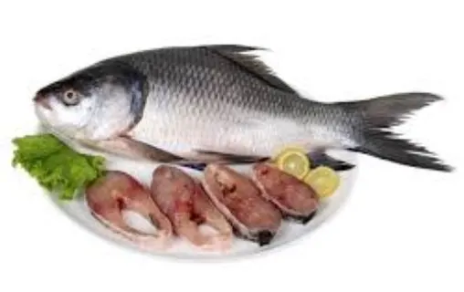 Shanmukhi Live Fish